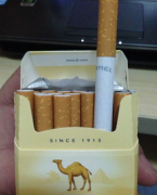 沈阳烟草新商盟官网登录