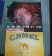 滁州烟草网-外烟代购网经