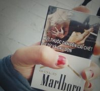新商盟网站，免税外烟代